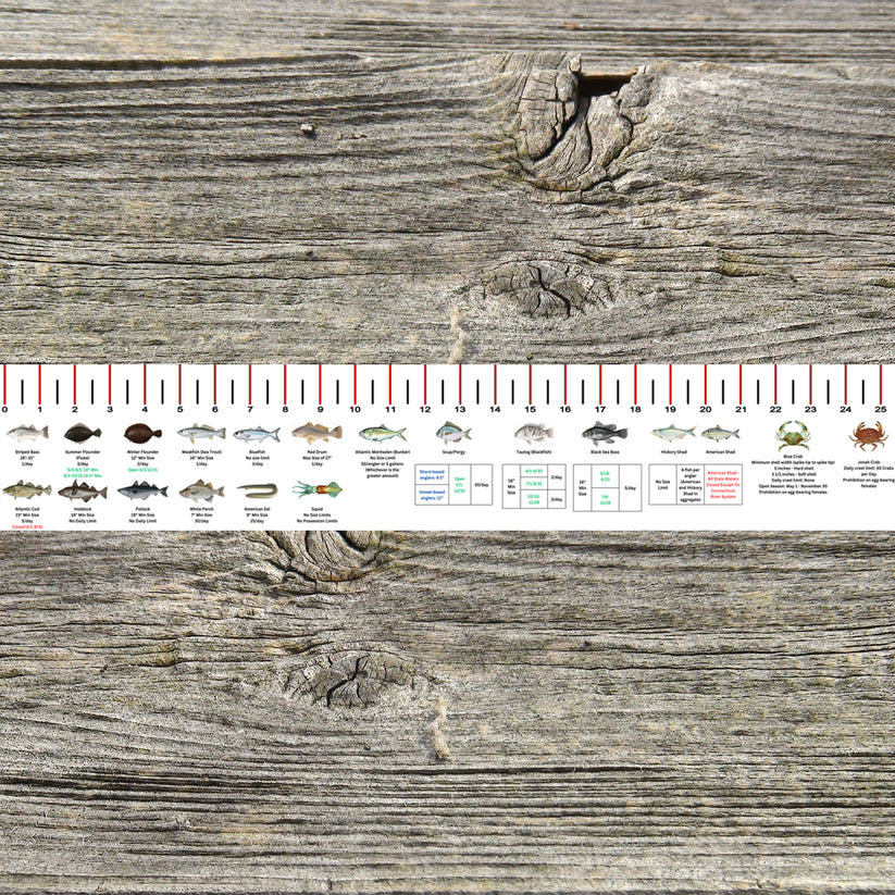 CONNECTICUT SALT WATER RULER 50 INCH FISH ID AND STATE REGULATIONS FIS ...