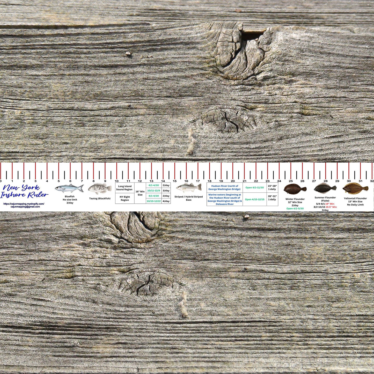 New York Inshore Fishing Ruler Decal