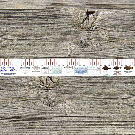New York Inshore Fishing Ruler Decal