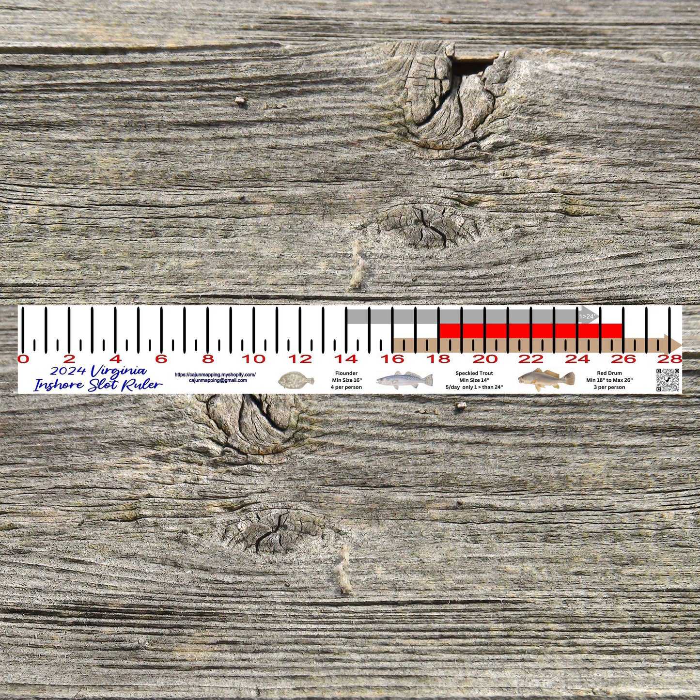 Virginia Inshore Fishing Slot Ruler Decal