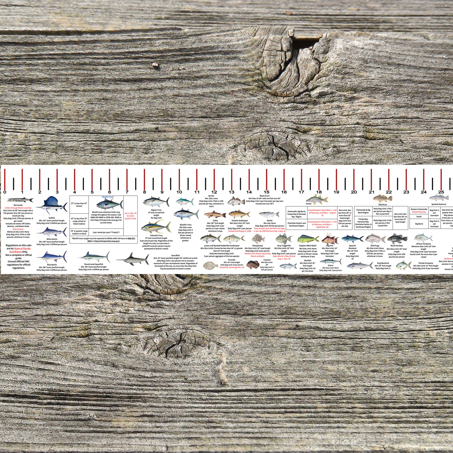 FLORIDA GULF STATE WATERS SALT WATER RULER 50 INCH FISH ID AND STATE REGULATIONS FISH RULER DECAL