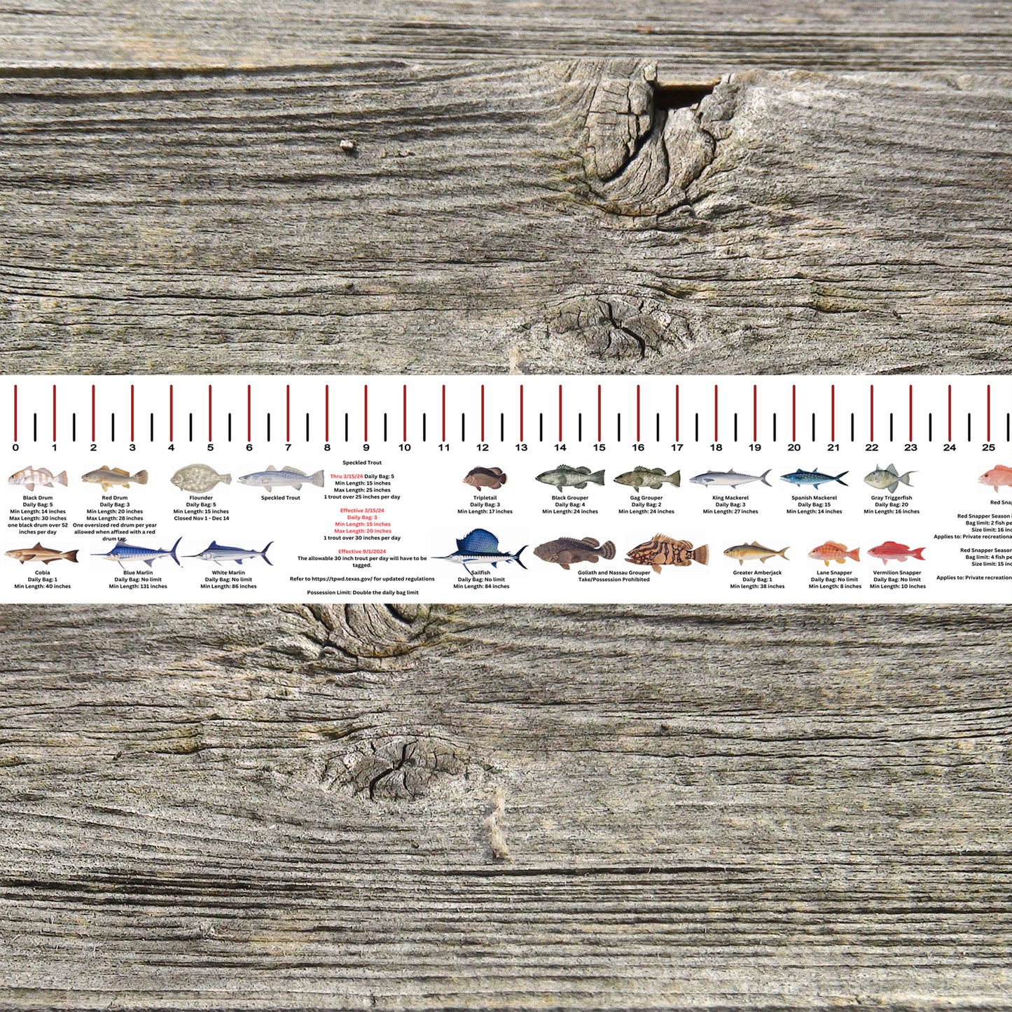 TEXAS SALT WATER RULER 50 INCH FISH ID AND STATE REGULATIONS FISH RULER DECAL