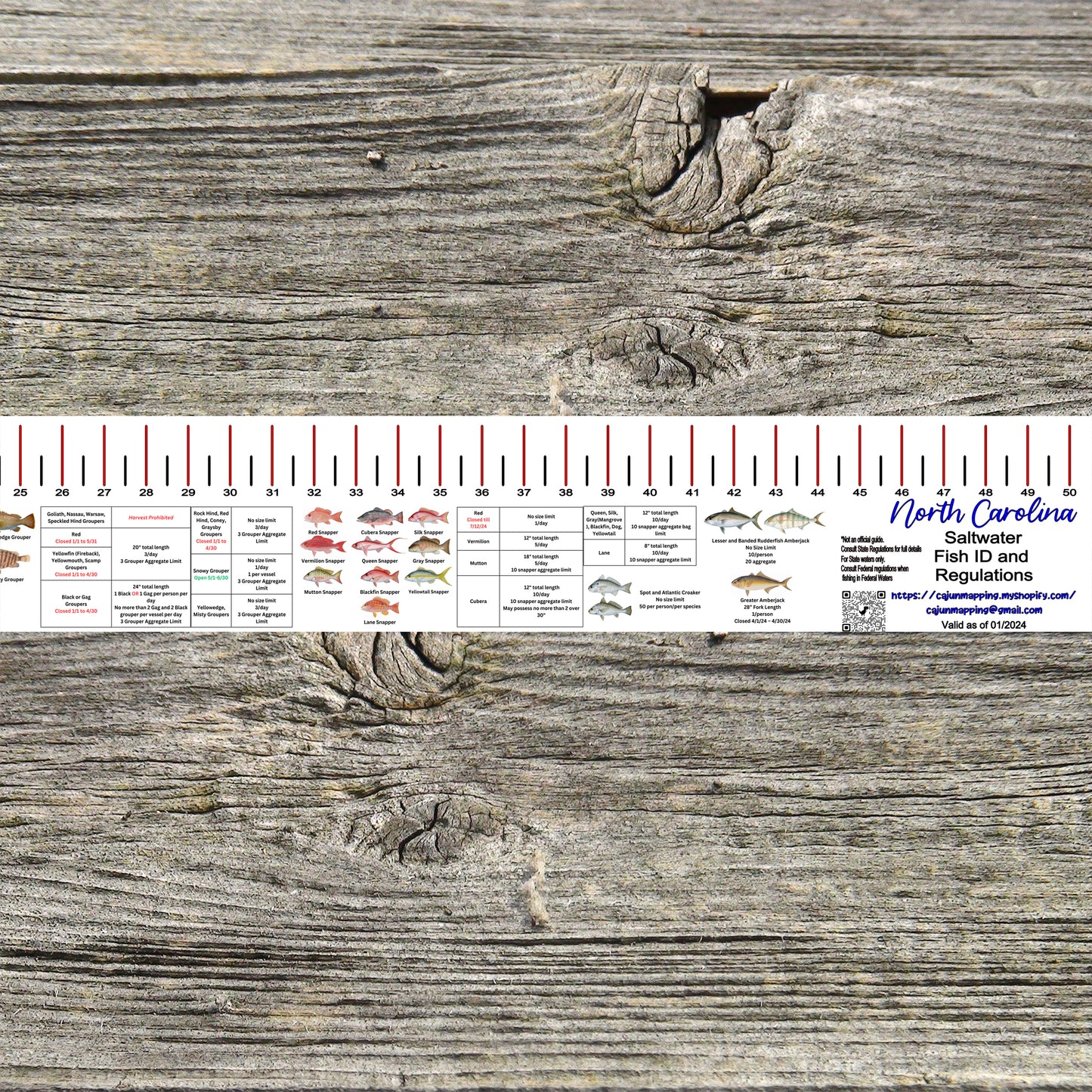 NORTH CAROLINA SALT WATER RULER 50 INCH FISH ID AND STATE REGULATIONS FISH RULER DECAL