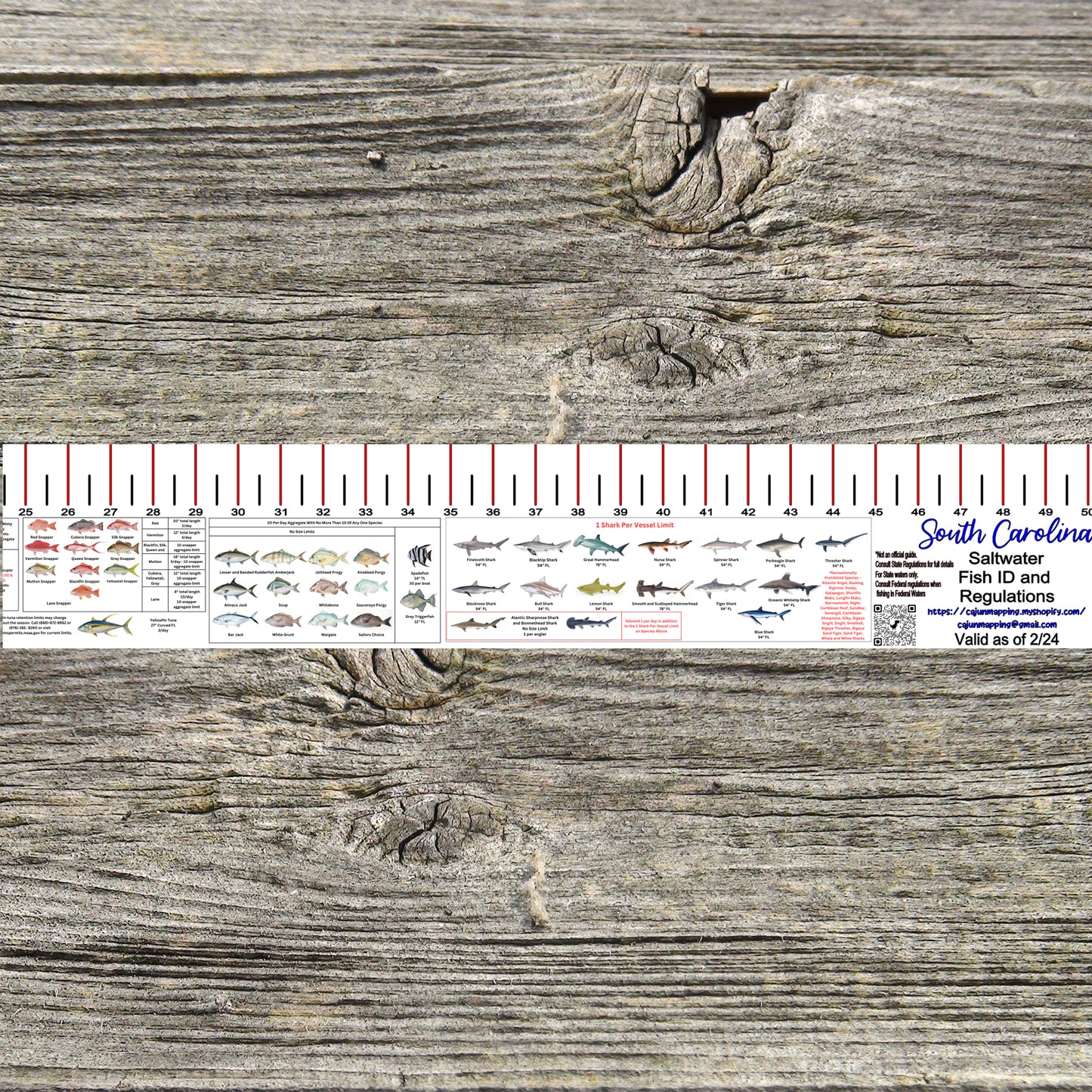 SOUTH CAROLINA SALT WATER RULER 50 INCH FISH ID AND STATE REGULATIONS ...