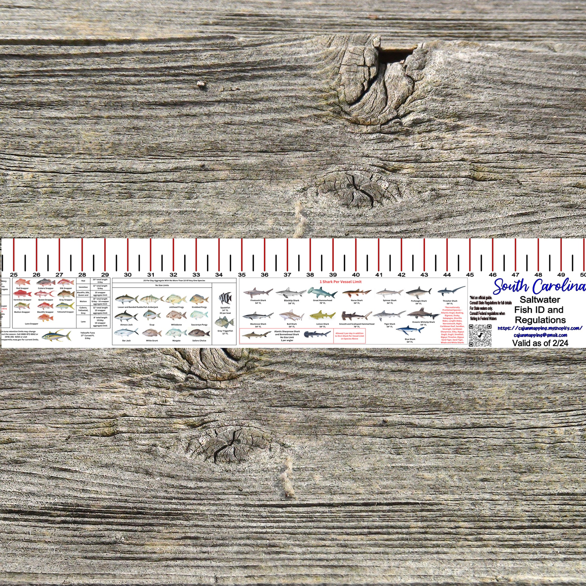 SOUTH CAROLINA SALT WATER RULER 50 INCH FISH ID AND STATE REGULATIONS ...