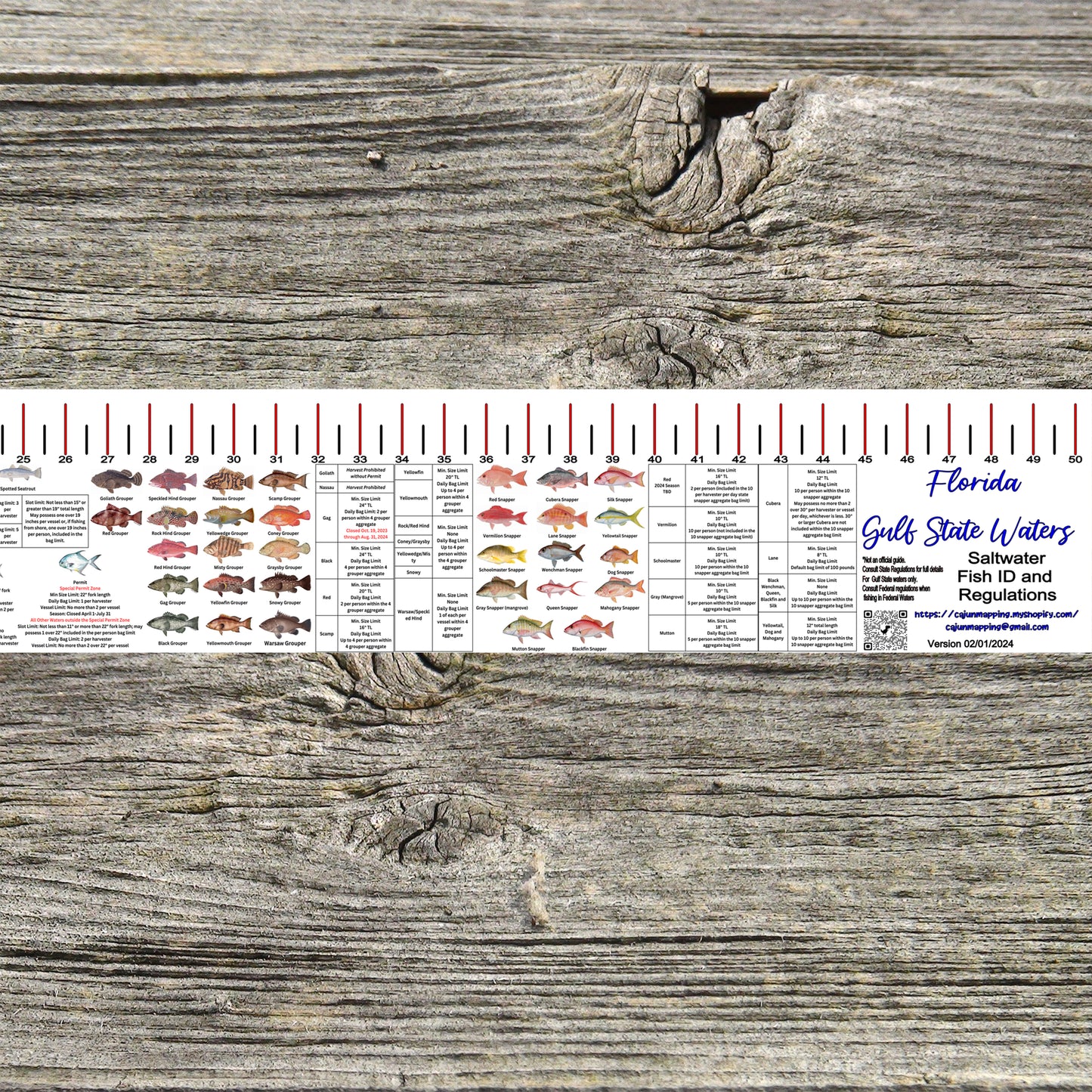 FLORIDA GULF STATE WATERS SALT WATER RULER 50 INCH FISH ID AND STATE REGULATIONS FISH RULER DECAL