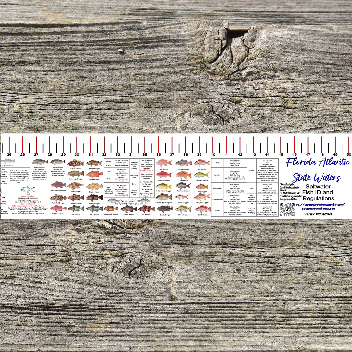 FLORIDA ATLANTIC STATE WATERS SALT WATER RULER 50 INCH FISH ID AND STATE REGULATIONS FISH RULER DECAL