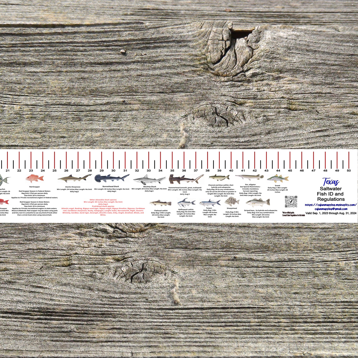 TEXAS SALT WATER RULER 50 INCH FISH ID AND STATE REGULATIONS FISH RULER DECAL