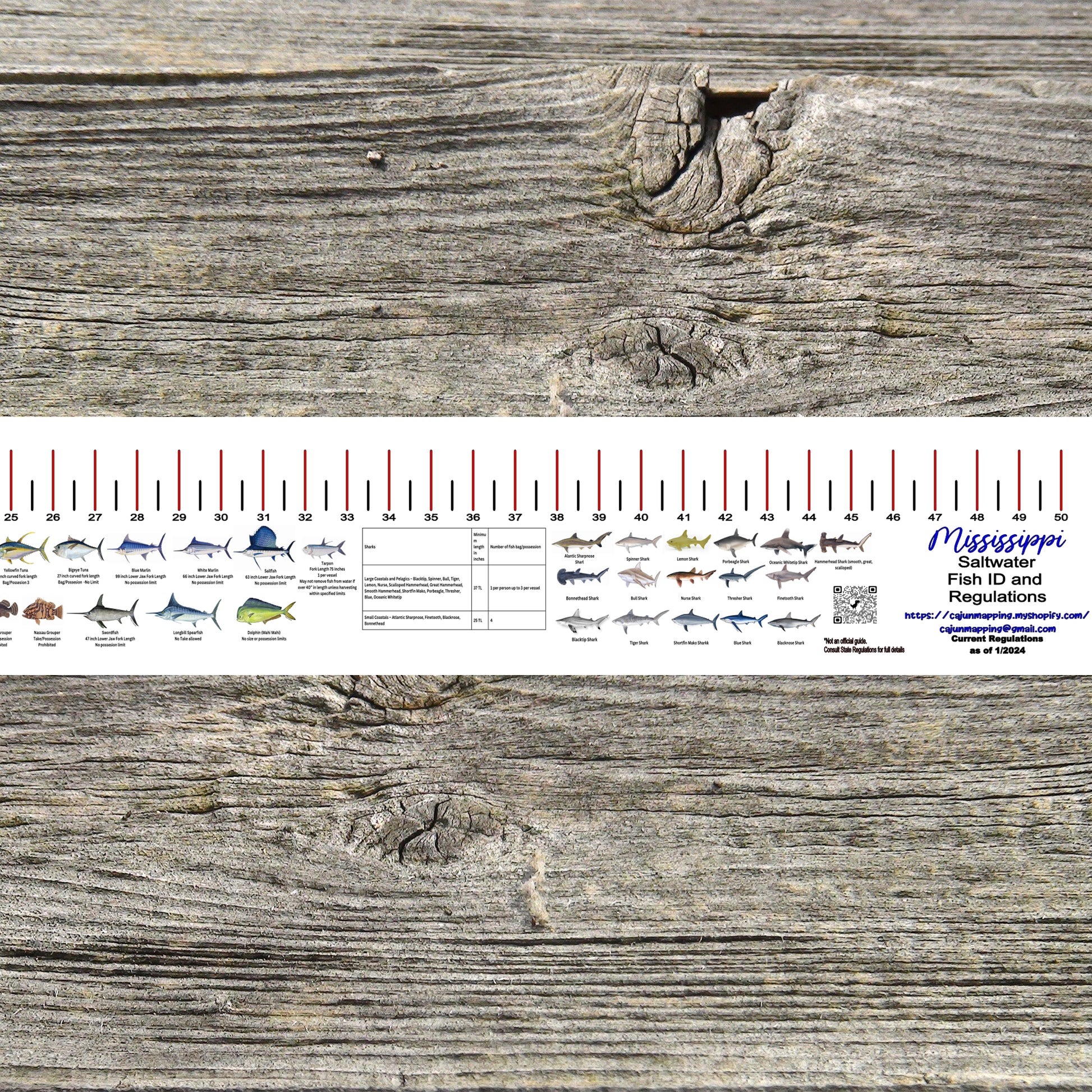 MISSISSIPPI SALT WATER RULER 50 INCH FISH ID AND STATE REGULATIONS FIS ...