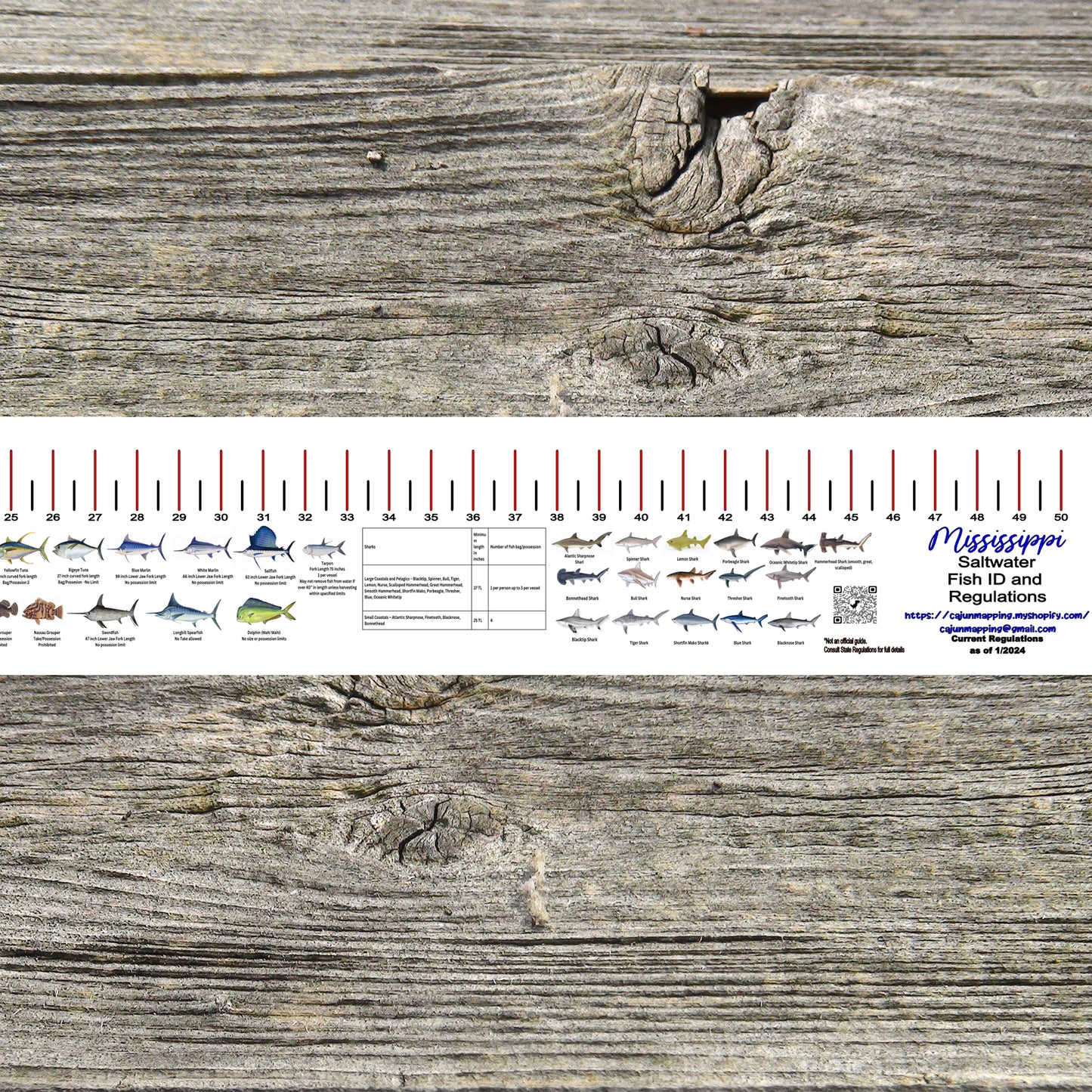 MISSISSIPPI SALT WATER RULER 50 INCH FISH ID AND STATE REGULATIONS FISH RULER DECAL