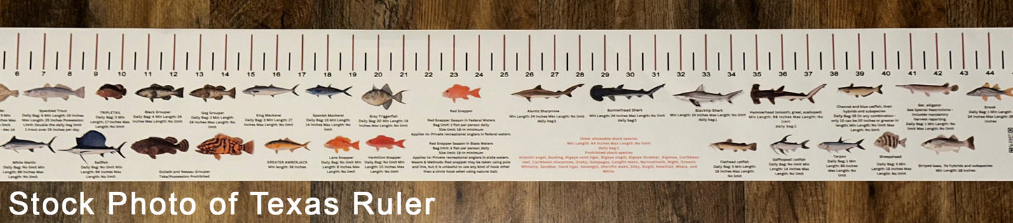 TEXAS SALT WATER RULER 50 INCH FISH ID AND STATE REGULATIONS FISH RULER DECAL