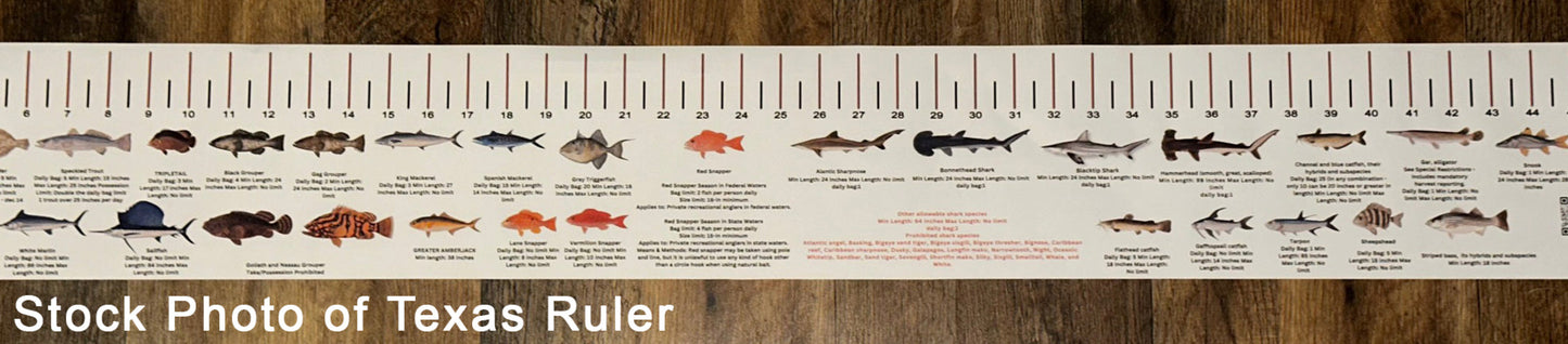 NEW HAMPSHIRE SALT WATER RULER 50 INCH FISH ID AND STATE REGULATIONS FISH RULER DECAL