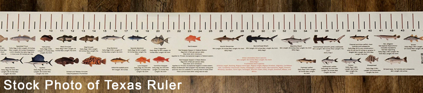 RHODE ISLAND SALT WATER RULER 50 INCH FISH ID AND STATE REGULATIONS FISH RULER DECAL