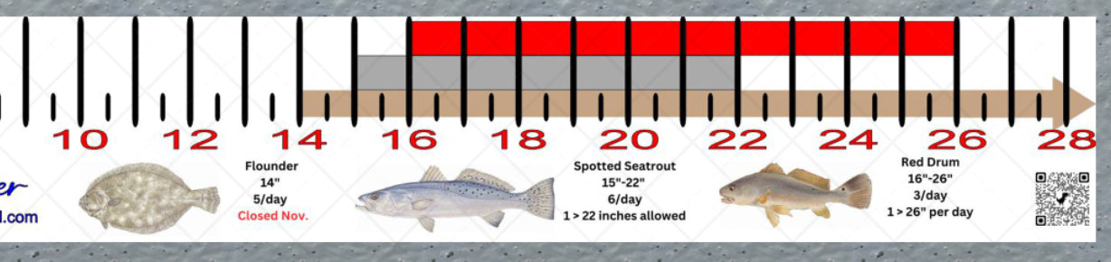 Alabama Inshore Fishing Slot Ruler Decal