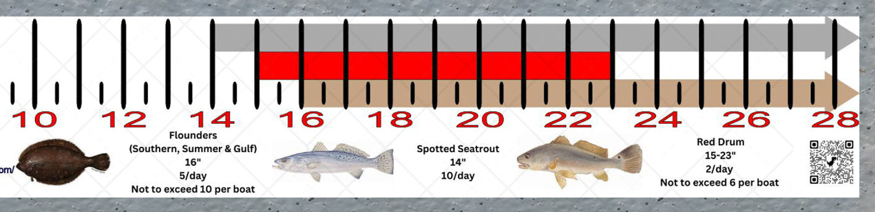 South Carolina Inshore Fishing Slot Ruler Decal