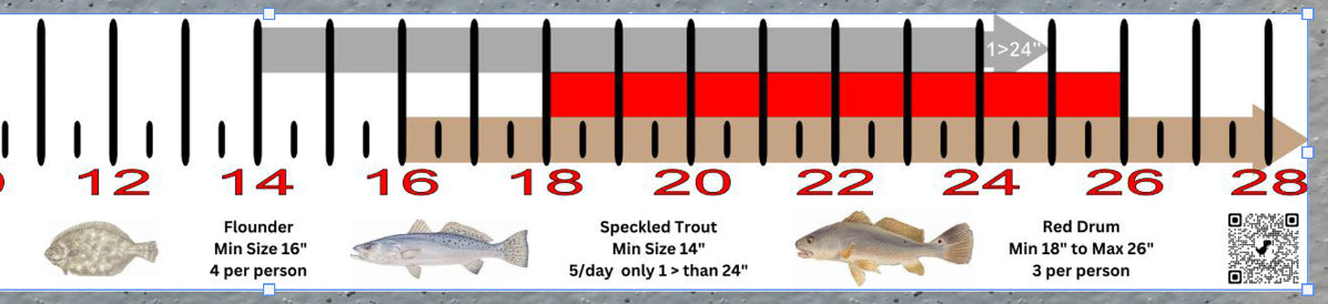 Virginia Inshore Fishing Slot Ruler Decal