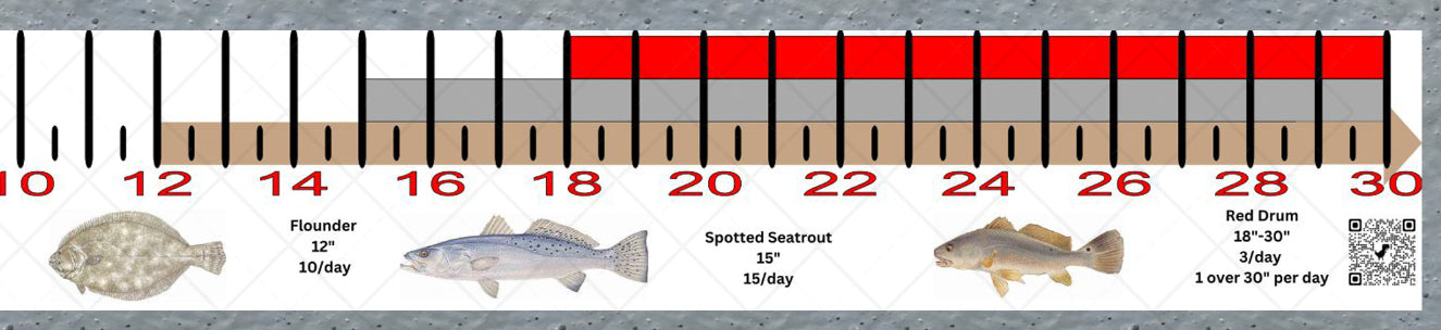 Mississippi Inshore Fishing Slot Ruler Decal