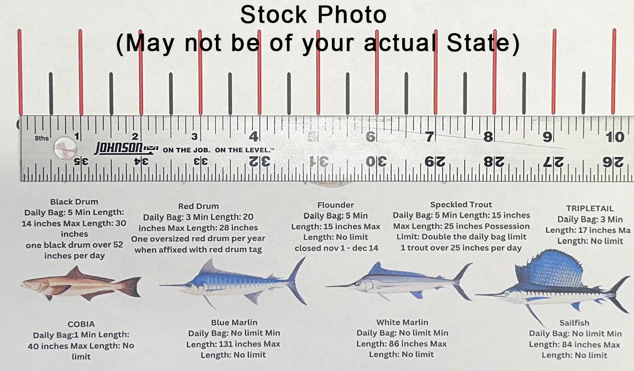 MISSISSIPPI SALT WATER RULER 50 INCH FISH ID AND STATE REGULATIONS FISH RULER DECAL