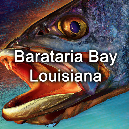 Barataria Bay Hotspots Fishing Map
