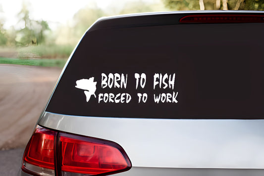 Born to Fish Decal