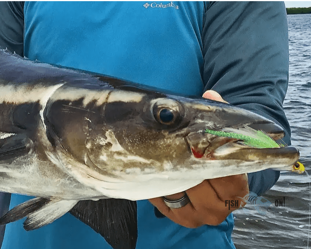 Biscayne Bay Fishing Spots - Numbers