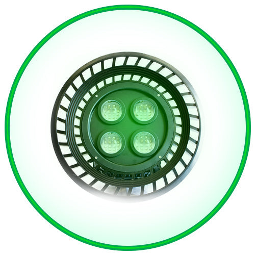 Flame 1500 LED Overhead Light