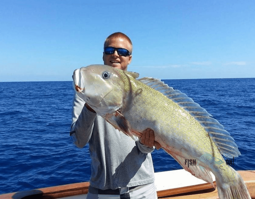 Daytona Beach Fishing Spots - Offshore numbers