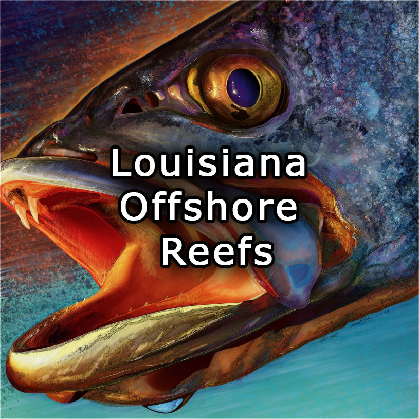 Louisiana Offshore Reefs Hotspots Fishing Map