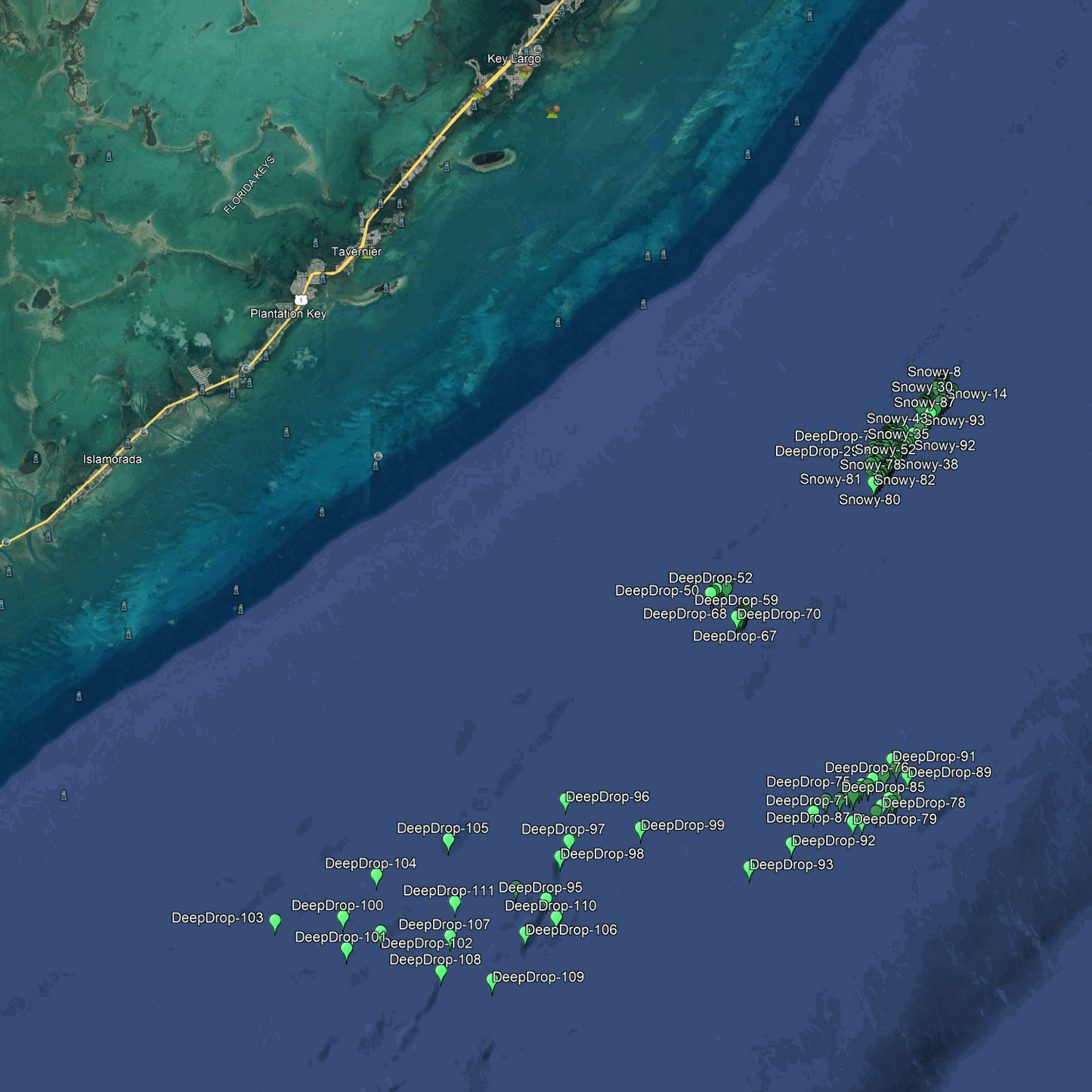 Islamorada Deep Drop Fishing Spots - Numbers