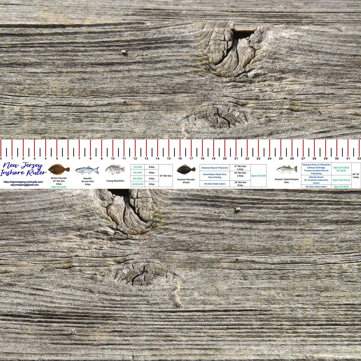 New Jersey Inshore Fishing Ruler Decal