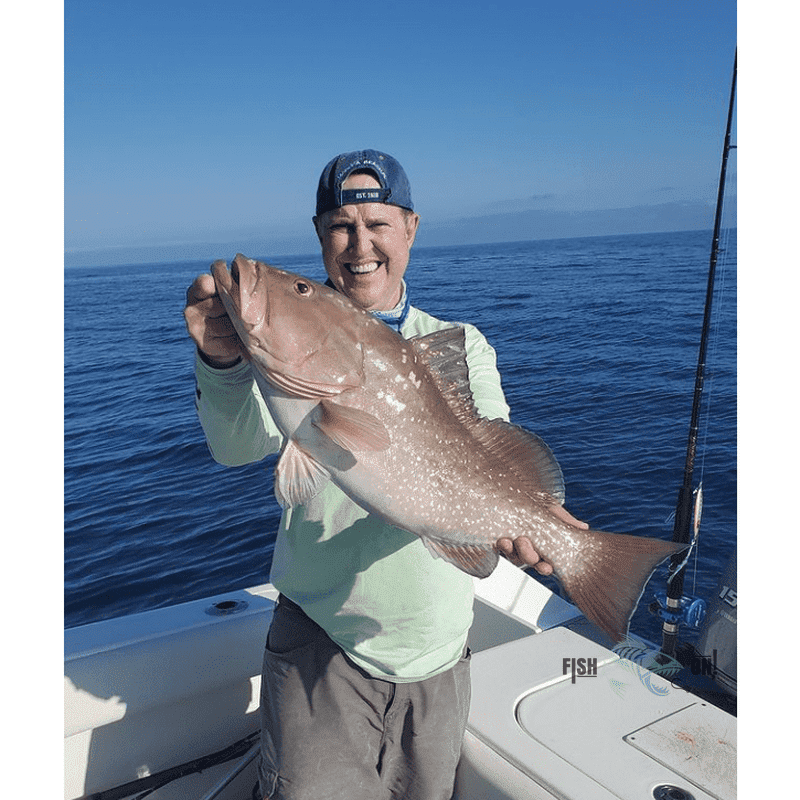Deep Drop Fishing Spots - Tampa Bay Offshore