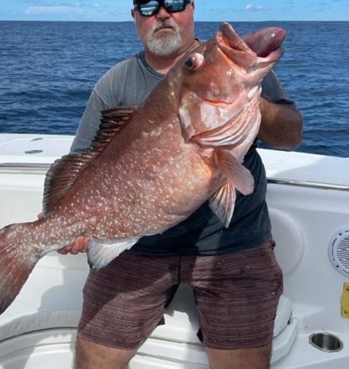 Tampa Bay Grouper Fishing Spots - Gulf of Mexico Numbers