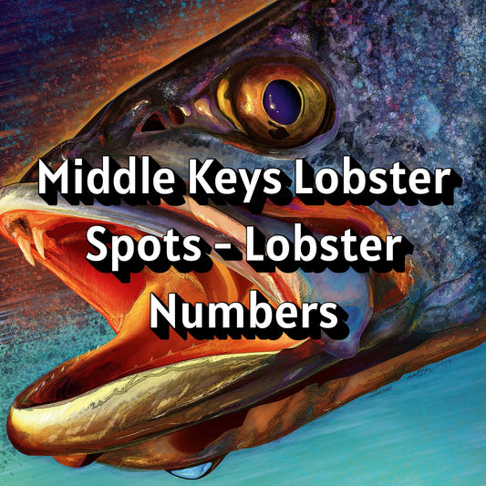 Middle Keys Lobster Spots - Lobster Numbers