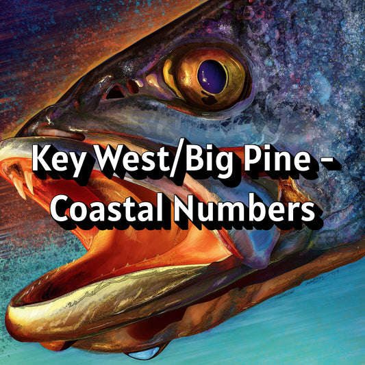 Key West/Big Pine - Coastal Numbers
