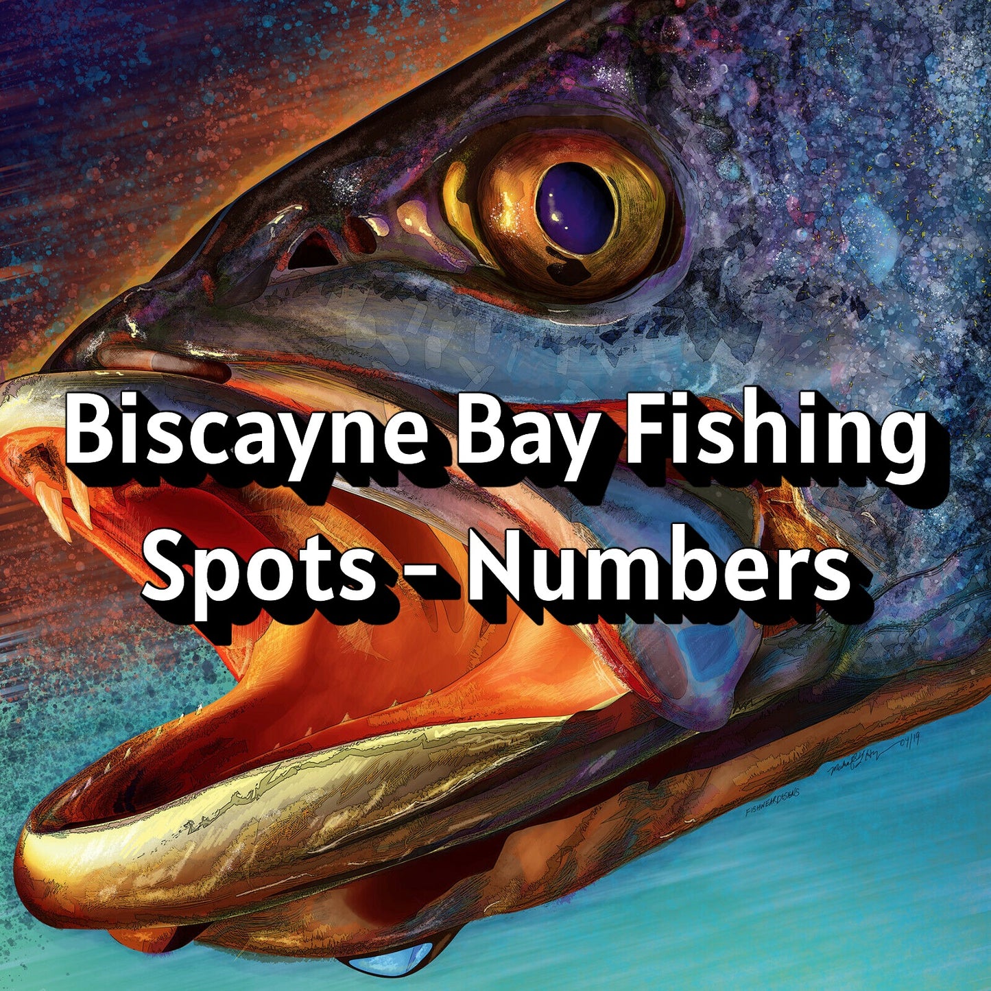 Biscayne Bay Fishing Spots - Numbers
