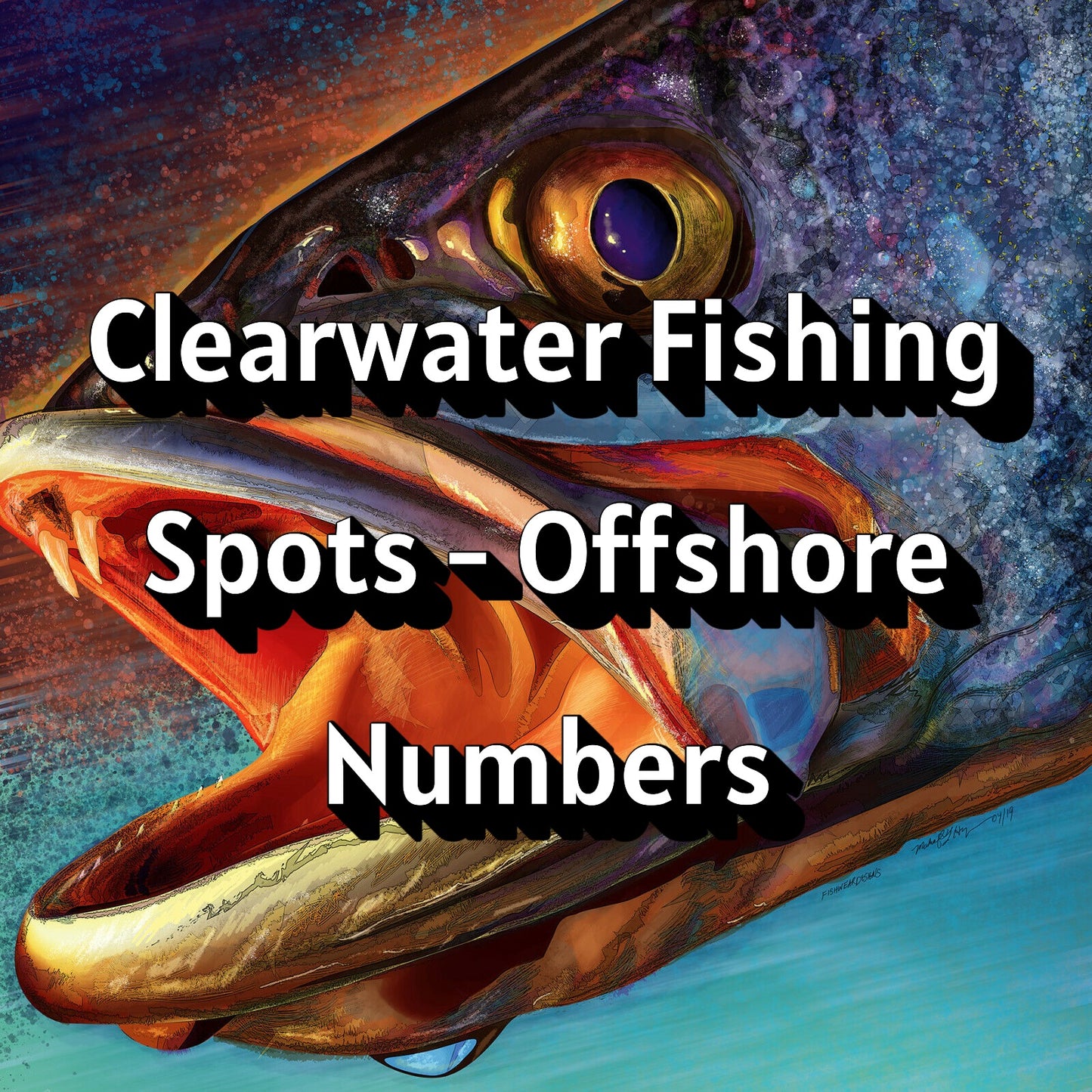 Clearwater Fishing Spots - Offshore Numbers