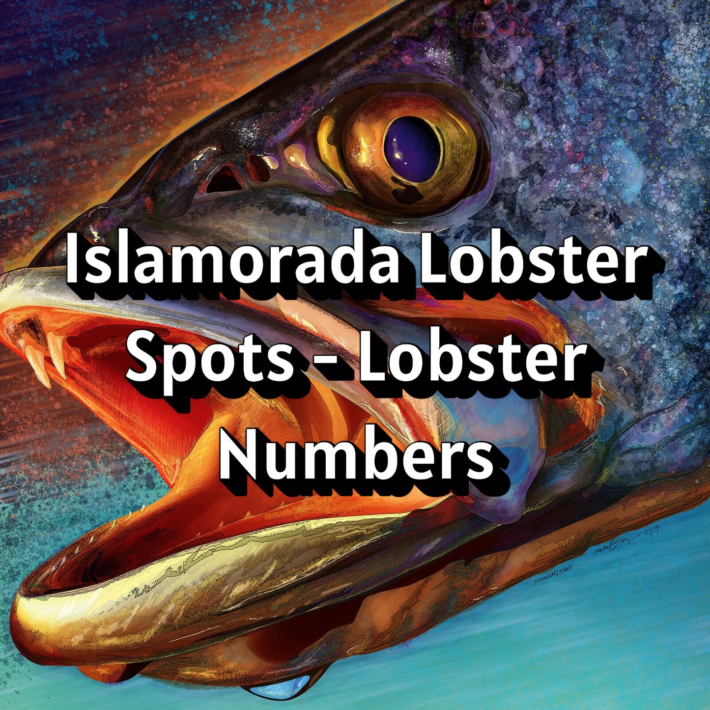 Islamorada Lobster Spots - Lobster Numbers