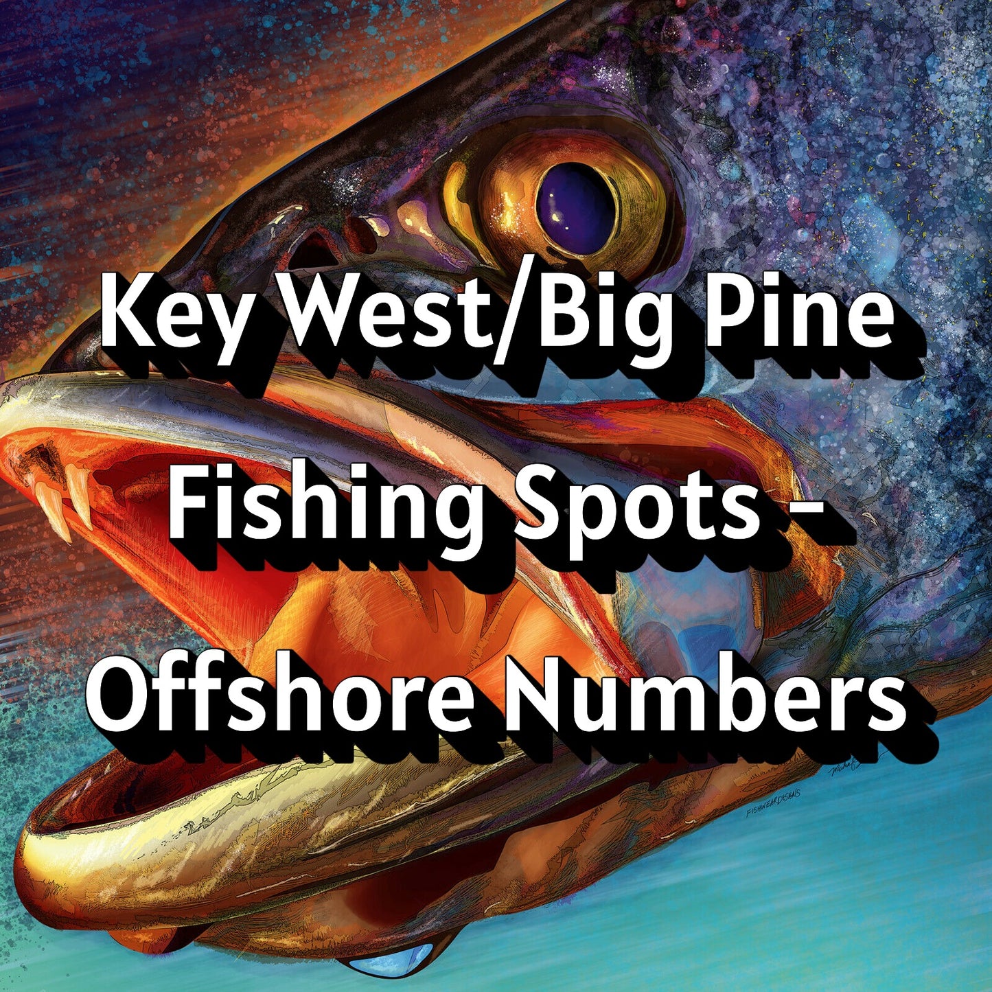 Key West/Big Pine Fishing Spots - Offshore Numbers