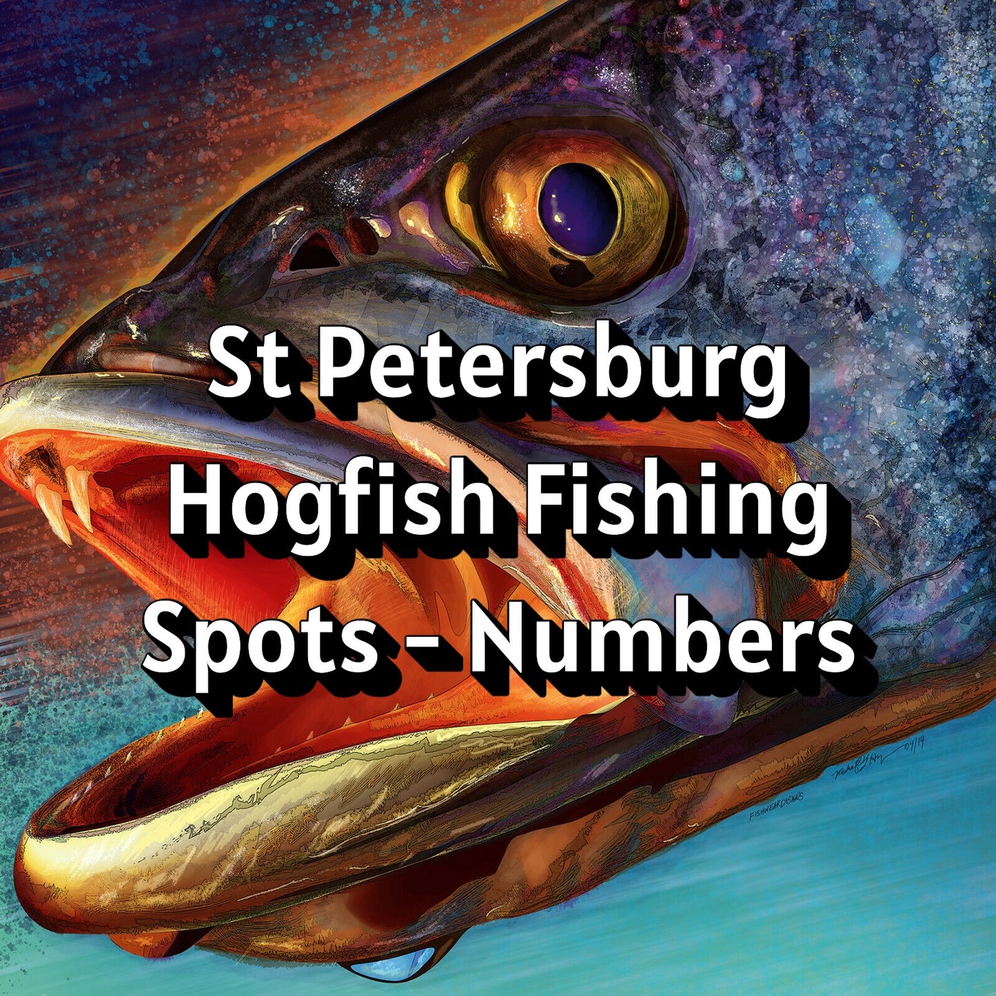 St Petersburg Hogfish Fishing Spots - Numbers