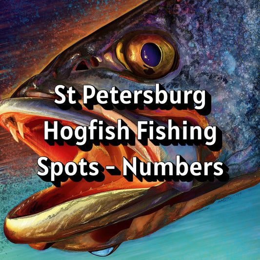 St Petersburg Hogfish Fishing Spots - Numbers