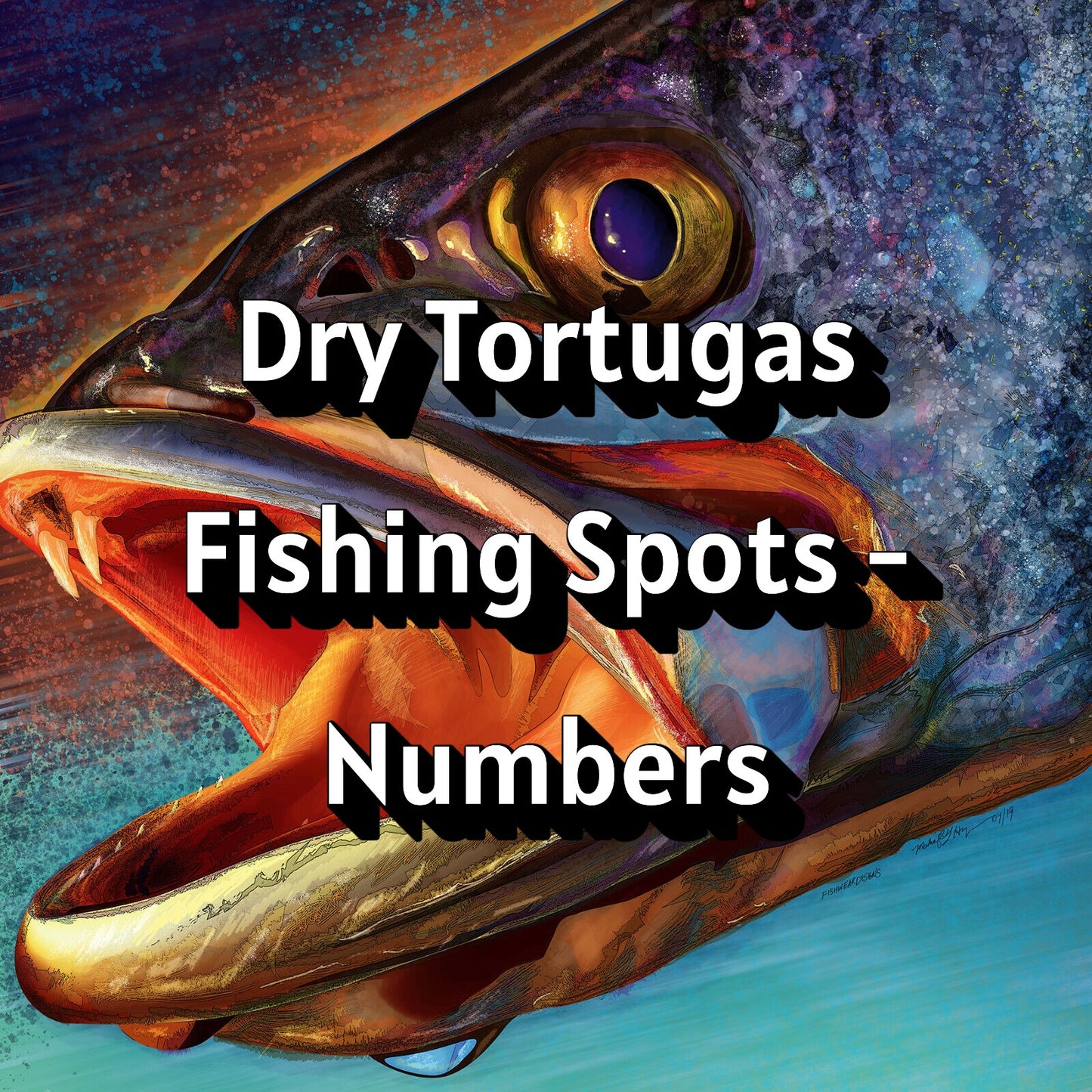 Dry Tortugas Fishing Spots - Numbers