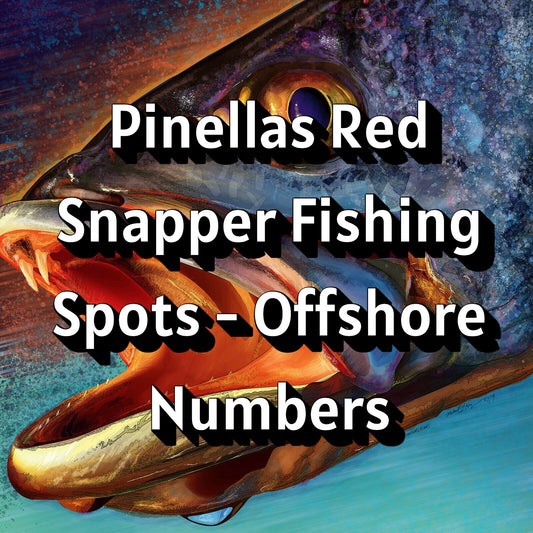 Pinellas Red Snapper Fishing Spots - Offshore Numbers