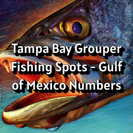 Tampa Bay Grouper Fishing Spots - Gulf of Mexico Numbers