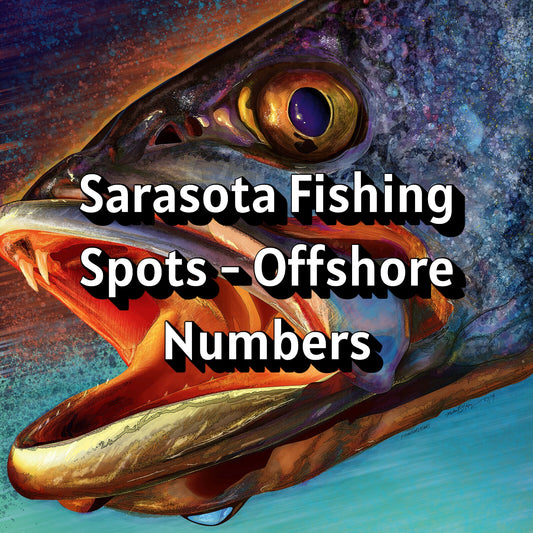 Sarasota Fishing Spots - Offshore Numbers