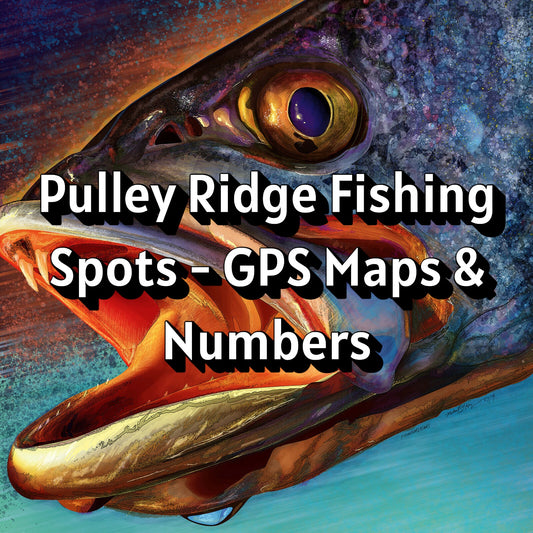 Pulley Ridge Fishing Spots - GPS Maps & Numbers