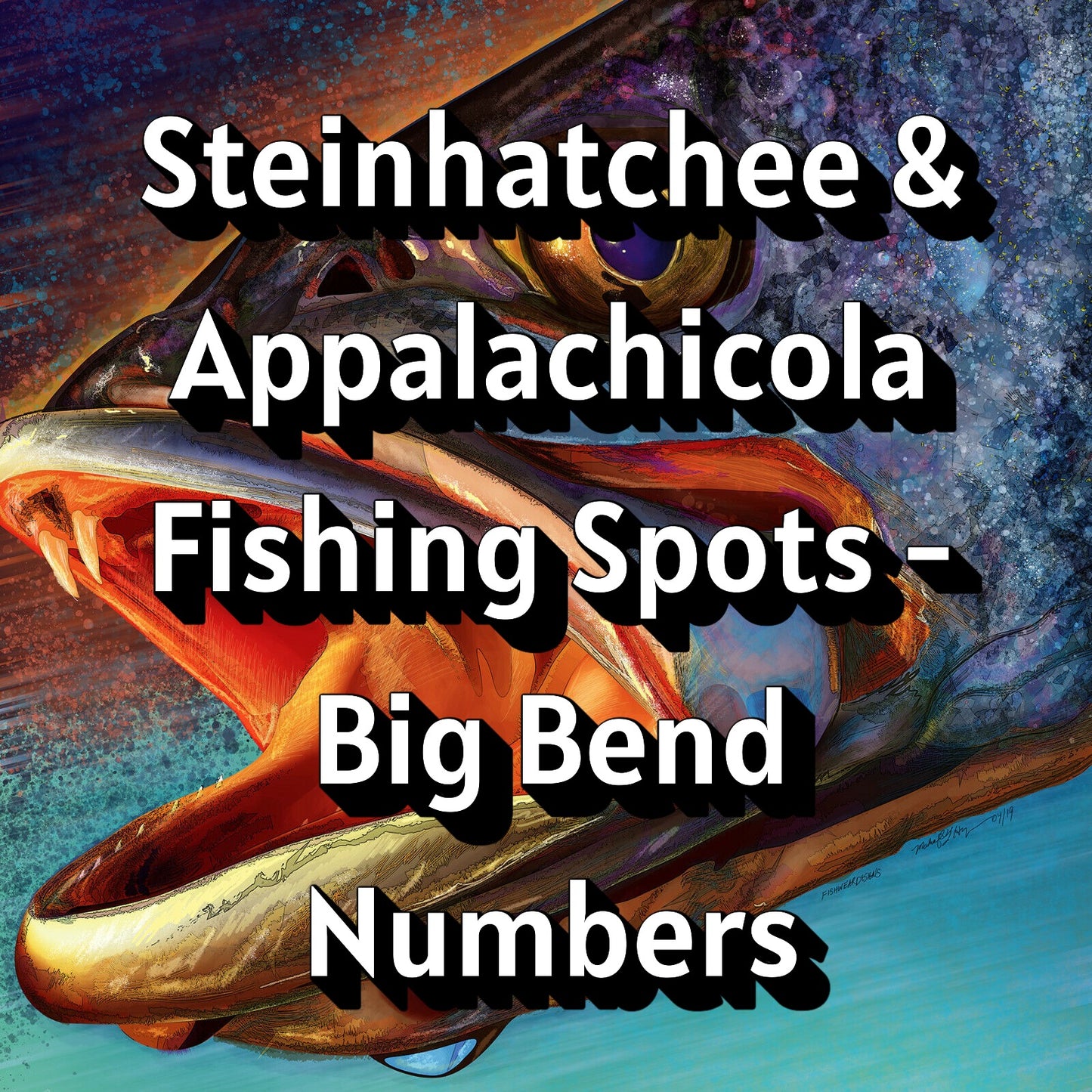 Steinhatchee & Appalachicola Fishing Spots - Big Bend Numbers