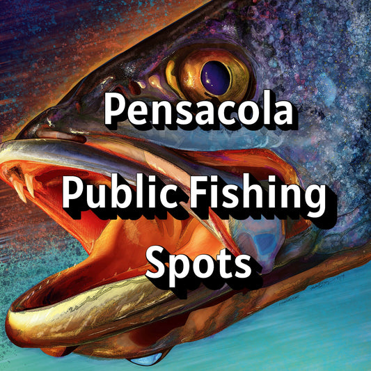 Pensacola Public Spots Fishing Map