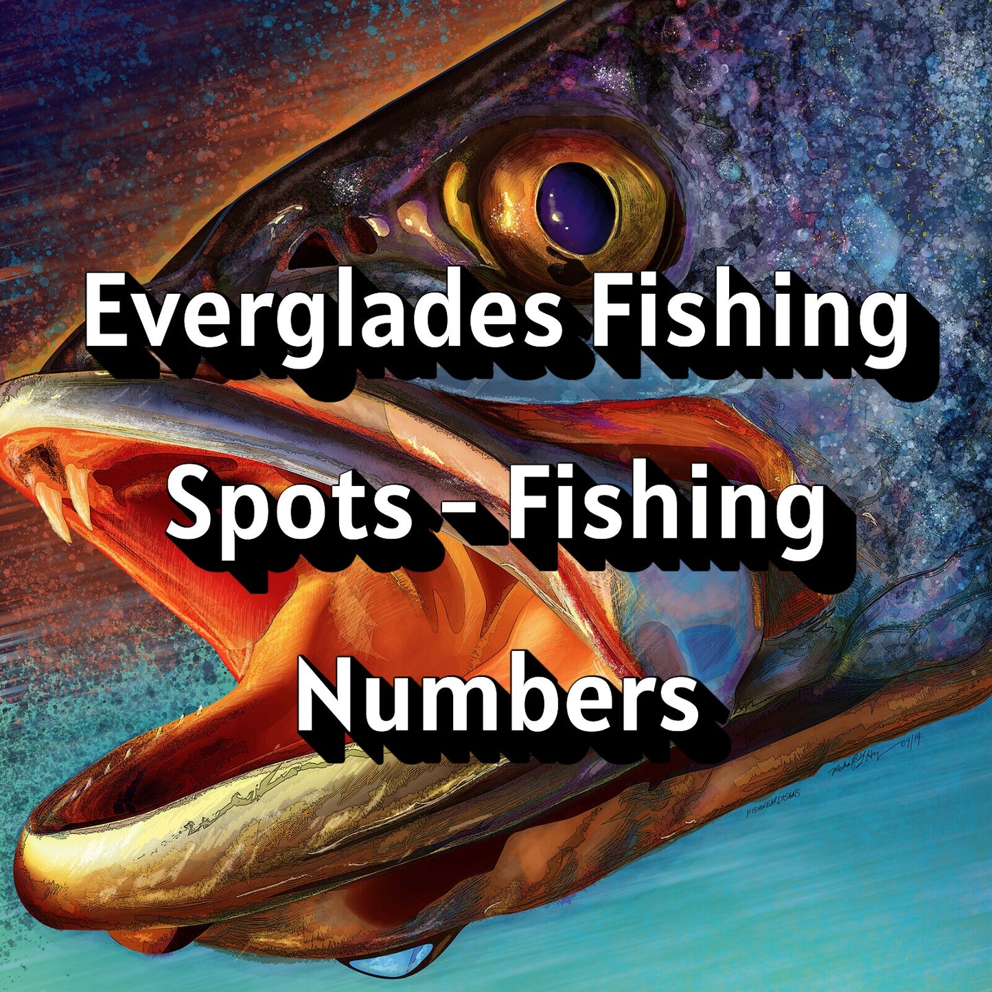 Everglades Fishing Spots - Fishing Numbers