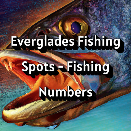 Everglades Fishing Spots - Fishing Numbers