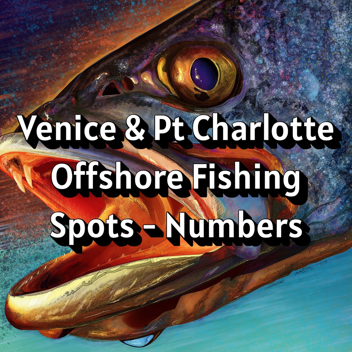 Venice & Pt Charlotte Offshore Fishing Spots - Numbers
